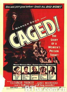 铁窗红泪 (1950)  BT磁力 迅雷网盘下载