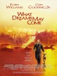美梦成真/飞越来生缘/What Dreams May Come