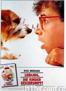 亲爱的，我把孩子缩小了 豆钉小灵精(台) 豆丁小精灵 (1989)  BT磁力 迅雷网盘下载