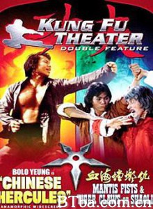 血海螳螂仇 Mantis Fists and Tiger Claws of Shaolin (1977)  BT磁力 迅雷网盘下载