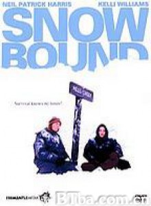 雪地逃生 (1994)  BT磁力 迅雷网盘下载