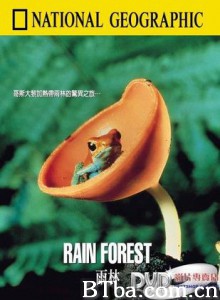 雨林 (1970)  BT磁力 迅雷网盘下载