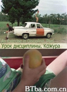 果皮 inDiscipline (2000)  BT磁力 迅雷网盘下载