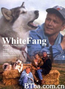 白芳 白狼 (1993)  BT磁力 迅雷网盘下载