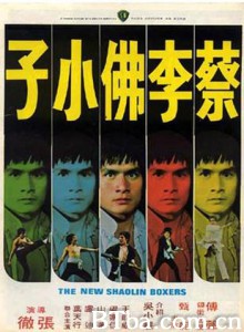 蔡李佛小子 New Shaolin Boxers (1976) 1080P BT磁力 迅雷网盘下载