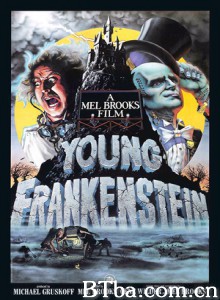 新科学怪人 年轻的科学怪人 Young Frankenstein (1974) 720P BT磁力 迅雷网盘下载