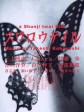燕尾蝶/Swallowtail Butterfly