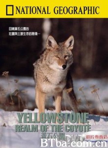 黄石公园：土狼的王国 (1970)  BT磁力 迅雷网盘下载