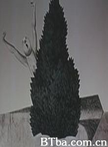 天使卡布丽叶和鹫鸟夫人 (2005)  BT磁力 迅雷网盘下载