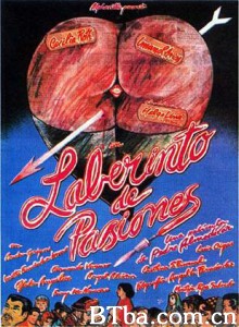 激情迷宫 情感迷宫 Labyrinth of Passion (1982)  BT磁力 迅雷网盘下载