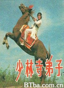 少林寺弟子 The Disclple Of The Shaolin Temple (1970)  BT磁力 迅雷网盘下载
