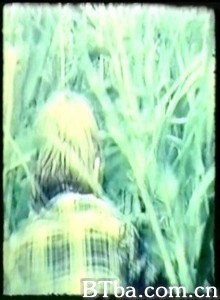 你明知逃不了为毛还要逃，逃避你眼前发生的这一切？那是因为你他妈就是个懦夫！ Why Flee What You Know You Can't Escape? Why Flee the Picture That Penetrated to Your Retina. Because You Are a Coward (1970)  BT磁力 迅雷网盘下载