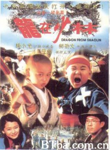 龙在少林 Dragon in Shaolin (1996) 1080P/720P BT磁力 迅雷网盘下载