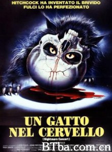 大脑中的猫 A Cat in the Brain Nightmare Concert (1990)  BT磁力 迅雷网盘下载