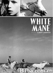 白鬃野马 白骏马 White Mane: The Wild Horse (1953)  BT磁力 迅雷网盘下载