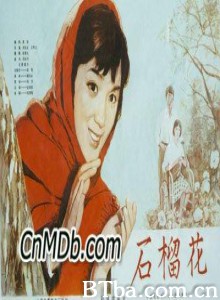 石榴花 Shi liu hua (1970)  BT磁力 迅雷网盘下载