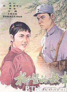 柳堡的故事 The Story Of Liubao The Story of Liubao Village (1970)  BT磁力 迅雷网盘下载
