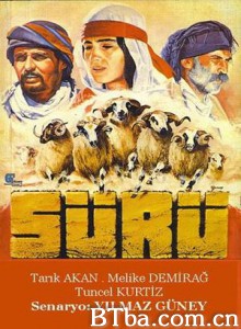 羊群 The Herd (1970)  BT磁力 迅雷网盘下载