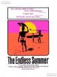 漫长夏日/无尽之夏/The Endless Summer