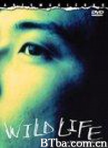 狂野的生活 Wild Life 复活的野性 (1997)  BT磁力 迅雷网盘下载