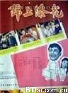 锦上添花 (1970)  BT磁力 迅雷网盘下载