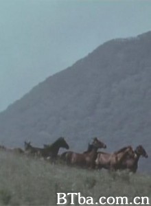 马之诗 馬の唄 Uma no uta (1970)  BT磁力 迅雷网盘下载