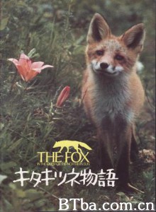 狐狸的故事 Story of the Northern Fox The Glacier Fox (1978)  BT磁力 迅雷网盘下载
