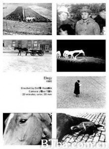 挽歌 (2002)  BT磁力 迅雷网盘下载