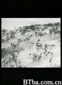 栖居者 Inhabitants (1970)  BT磁力 迅雷网盘下载