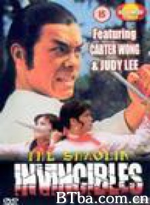 雍正命丧少林门 Shaolin Invincibles (1970)  BT磁力 迅雷网盘下载