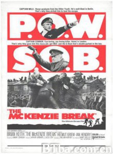 海陆空大逃亡 战俘营 暴动战俘营 (1971)  BT磁力 迅雷网盘下载
