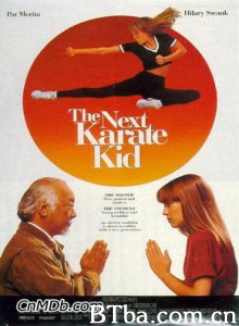 新小子难缠 新龙威小子 (1994)  BT磁力 迅雷网盘下载