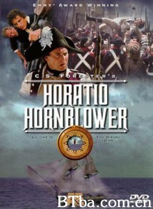 怒海英雄：错误的战争 霍恩布洛尔船长：错误的战争 (1999)  BT磁力 迅雷网盘下载