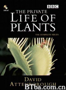 植物私生活 植物的另类生活 (1995)  BT磁力 迅雷网盘下载