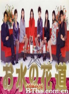 上班女郎 第一女公关 お水の花道 ～女30歳ガケップチ～ (1999)  BT磁力 迅雷网盘下载