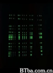 Mosaic (1970)  BT磁力 迅雷网盘下载