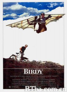 鸟人 鸟孩 追鸟 (1984) 1080P/720P BT磁力 迅雷网盘下载