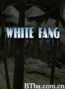 白牙 白芳传奇 白狼传奇 (1970)  BT磁力 迅雷网盘下载
