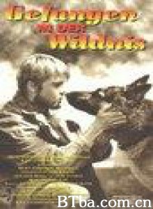 野性的呼唤 Call of the Wild (1993)  BT磁力 迅雷网盘下载