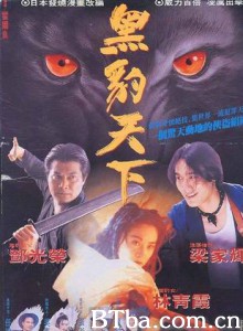 黑豹天下/Hei bao tian xia-720p|1080p高清bt种子下载
