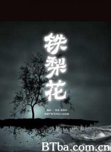铁梨花-720p|1080p高清bt种子下载