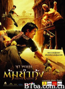 冬荫功 Tom Yum Goong The Protector (2005)  BT磁力 迅雷网盘下载