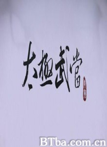 太极武当 (2010)  BT磁力 迅雷网盘下载
