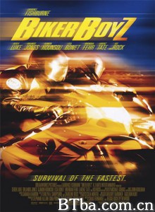 蛇行太保 狂飙少年 (2003)  BT磁力 迅雷网盘下载