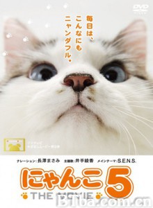 猫咪物语5 (2012)  BT磁力 迅雷网盘下载