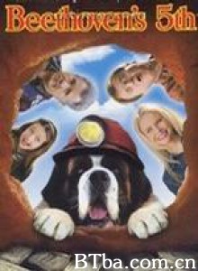 无敌当家5 (2003)  BT磁力 迅雷网盘下载