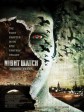 守夜人/Night Watch/Nochnoy dozor
