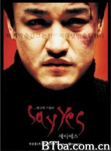 一路惊惶 凶劫 Say Yes (2001)  BT磁力 迅雷网盘下载