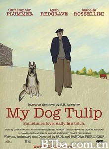 牧羊犬郁金香 小杜与我 我的狗叫郁金香 (2009)  BT磁力 迅雷网盘下载