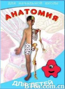 解剖男孩 (1970)  BT磁力 迅雷网盘下载